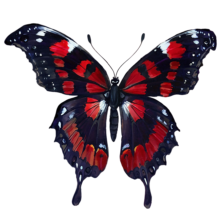 Red Butterfly Top View Png 06122024