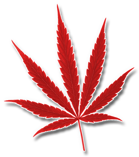 Red Cannabis Leaf Graphic