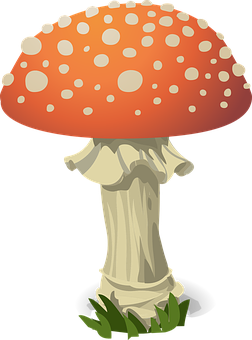 Red Capped Mushroom Cartoon