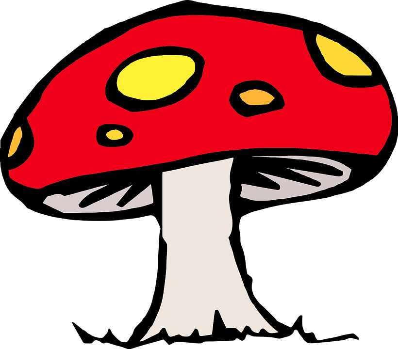 Red Capped Mushroom Illustration.png