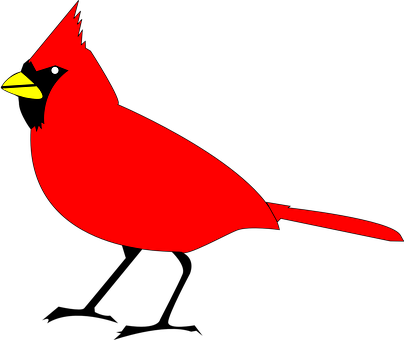 Red Cardinal Bird Vector