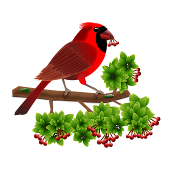 Red Cardinal Birdon Branch