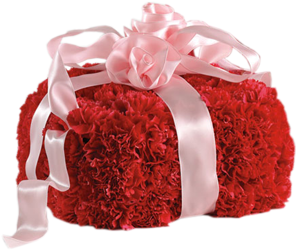 Red Carnation Floral Gift Bag