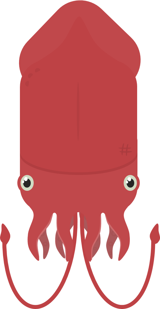 Red Cartoon Squid Illustration