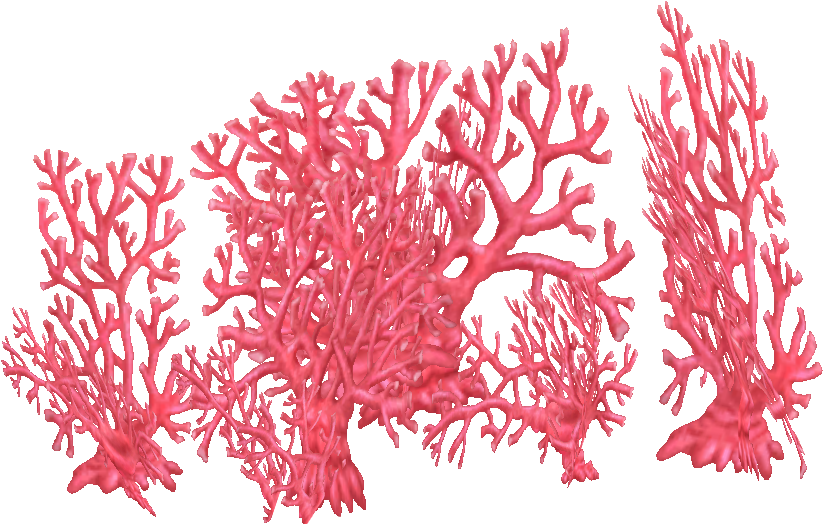 Red Coral Clusters.png