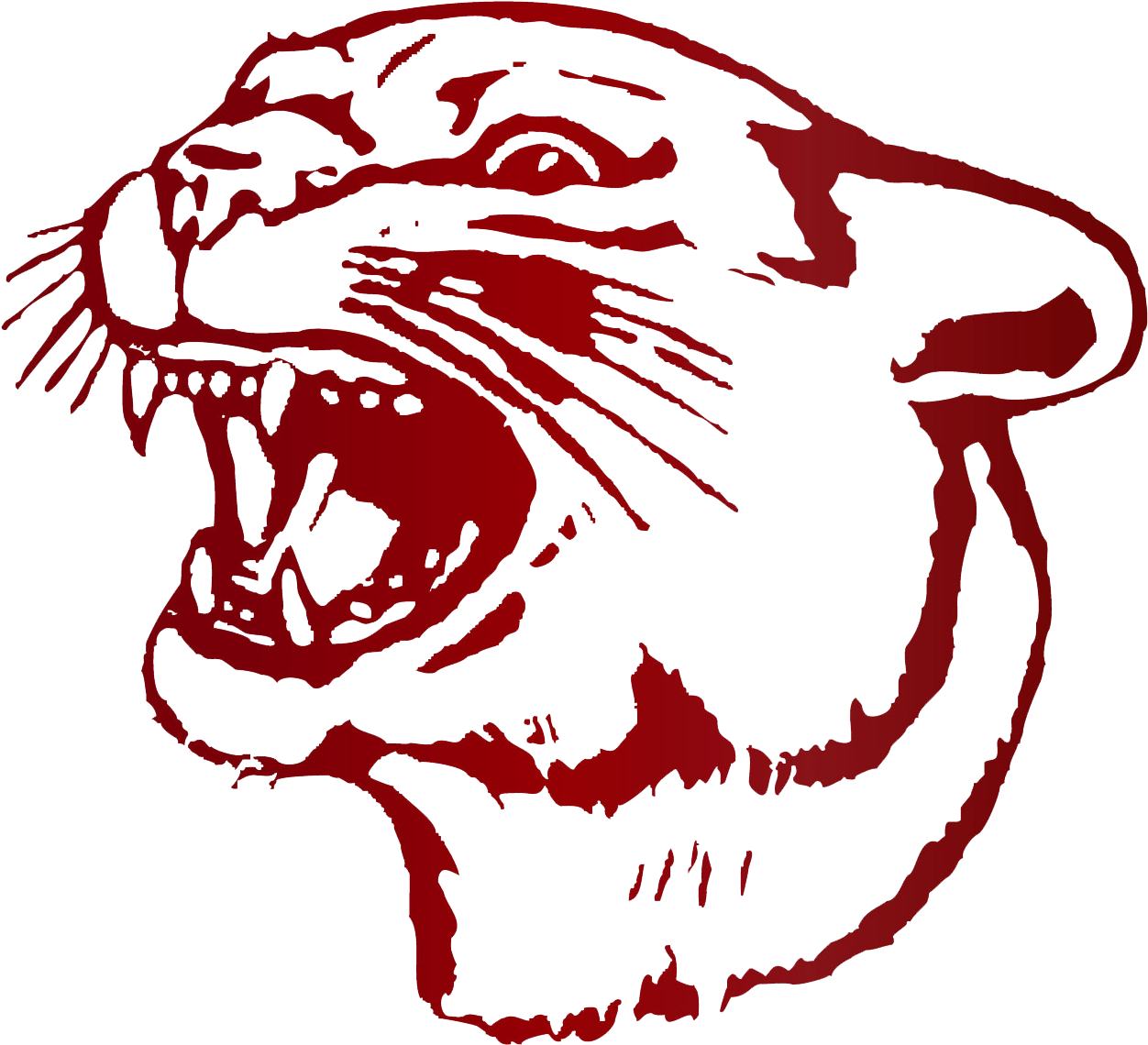 Red Cougar Graphic Art