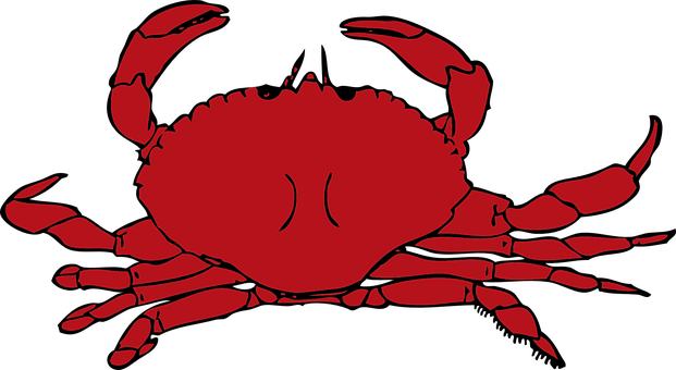 Red Crab Illustration