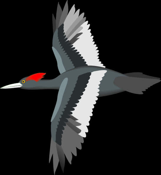 Red Crested Waterbird Illustration