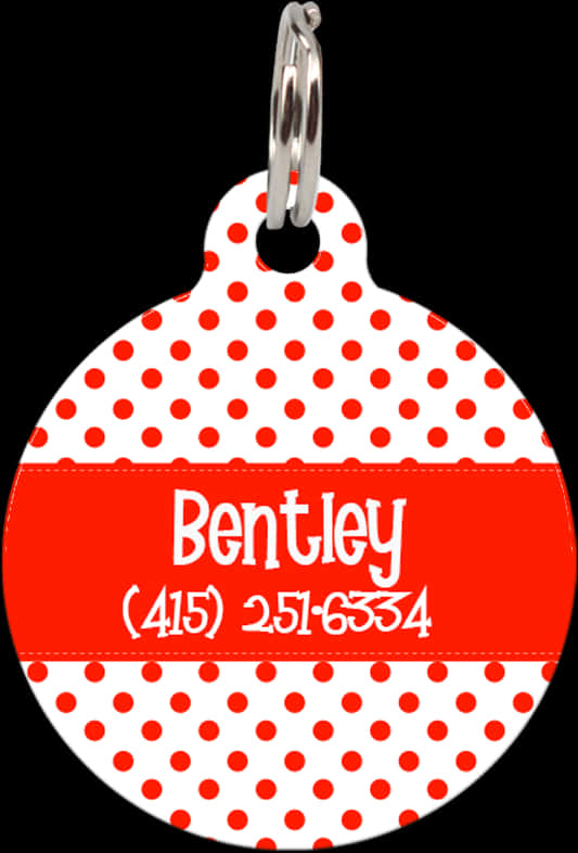 Red Dotted Pet Tag Bentley