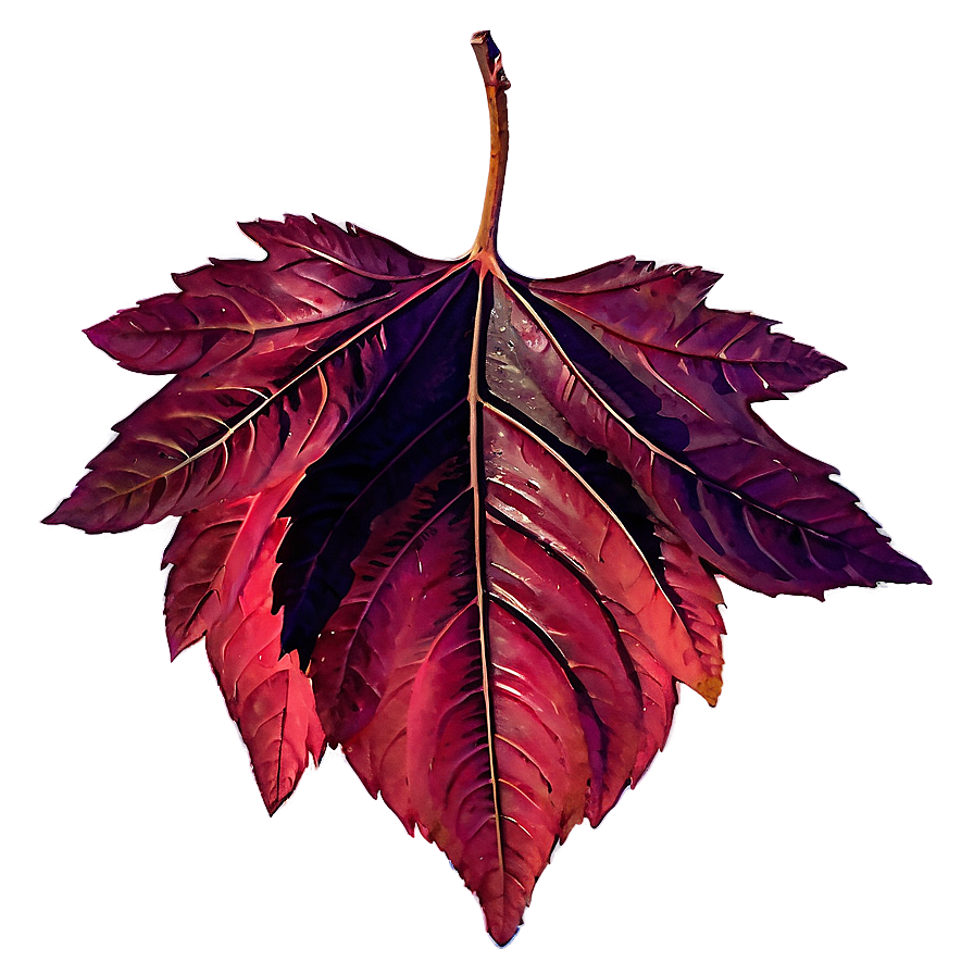 Red Fall Foliage Leaf Png 05252024