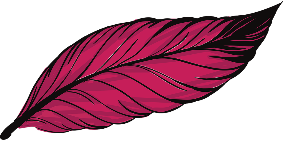 Red Feather Illustration.png