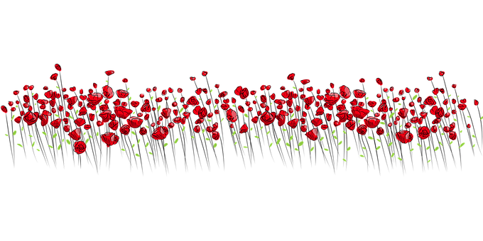 Red Floral Patternon Black Background