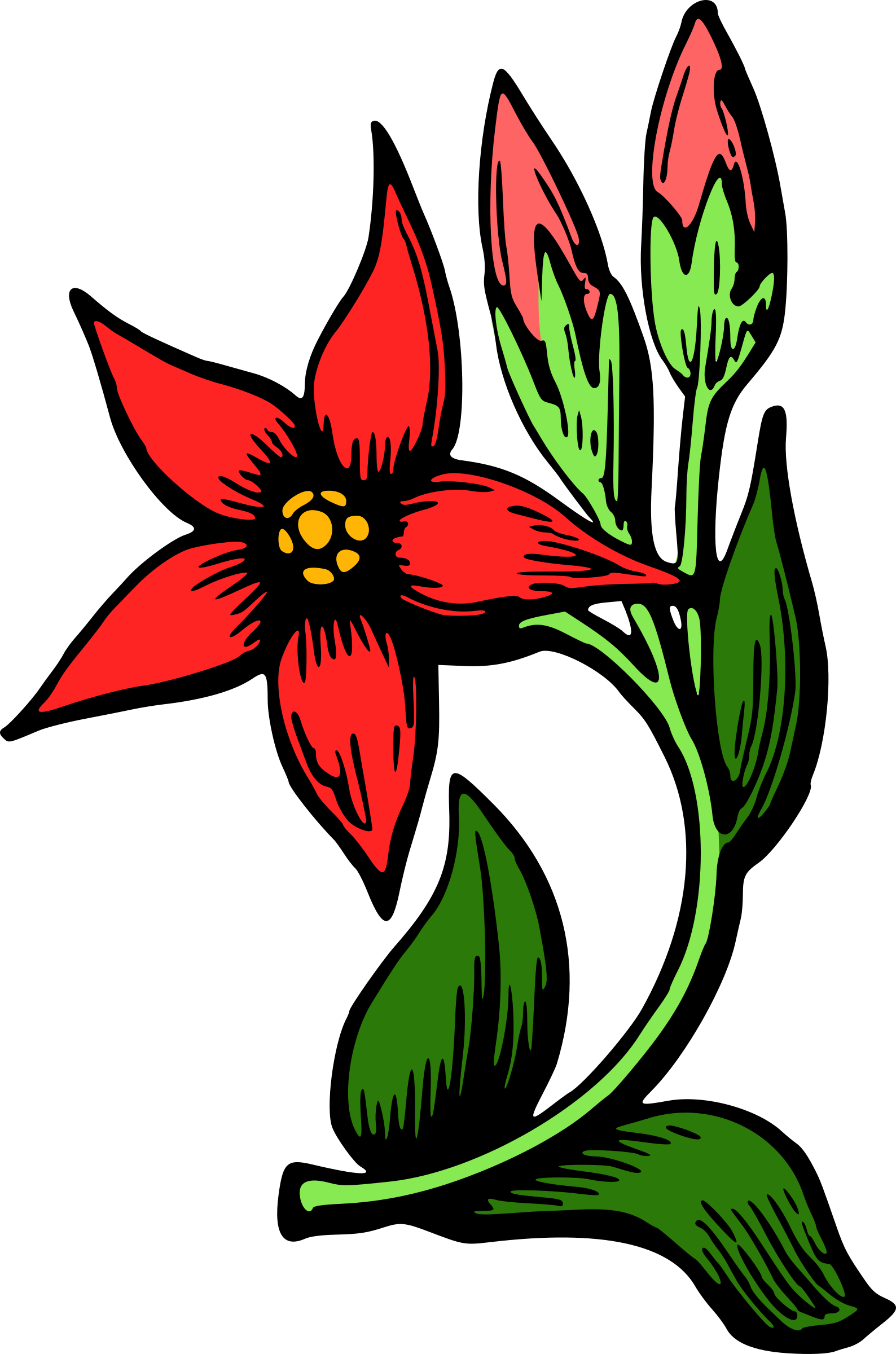 Red Flower Illustration.png