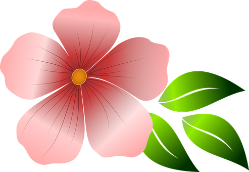 Red Flower Vector Illustration