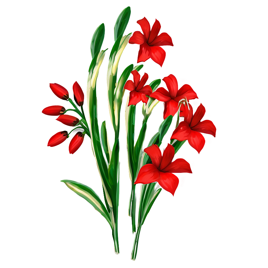 Red Flowers B