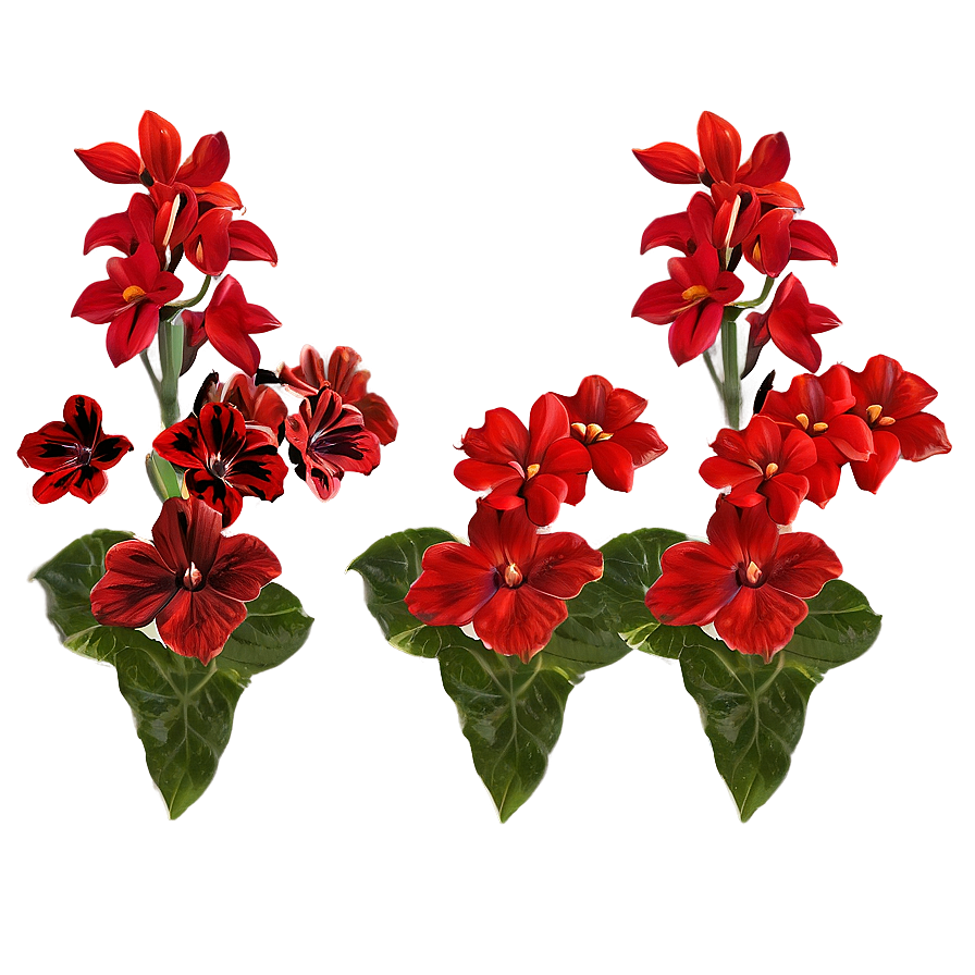 Red Flowers Close-up Png Liu25