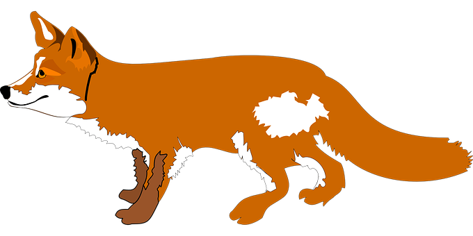 Red Fox Vector Illustration