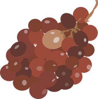 Red Grape Cluster Illustration