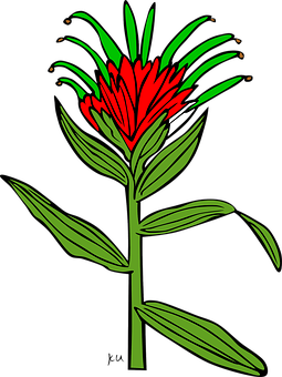 Red Green Floral Illustration