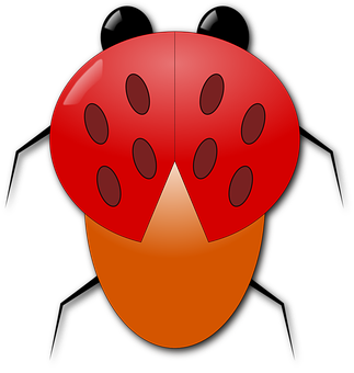 Red Ladybug Illustration