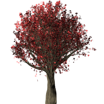 Red Leaved Tree Night Background