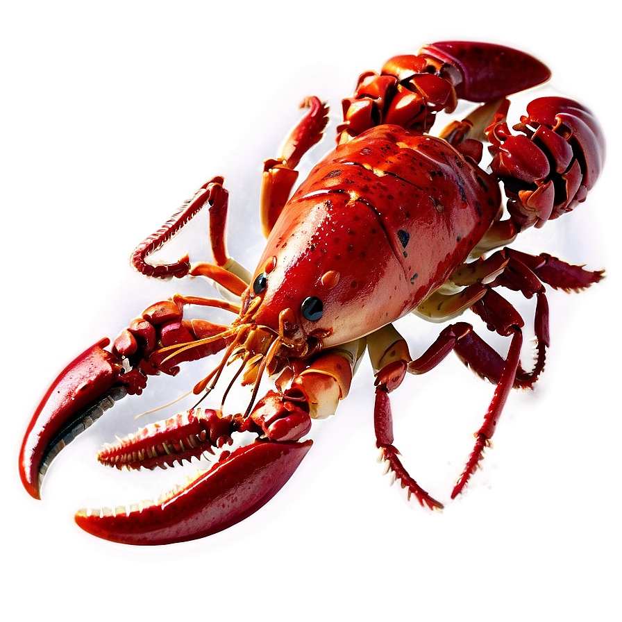 Red Lobster Seafood Png 48