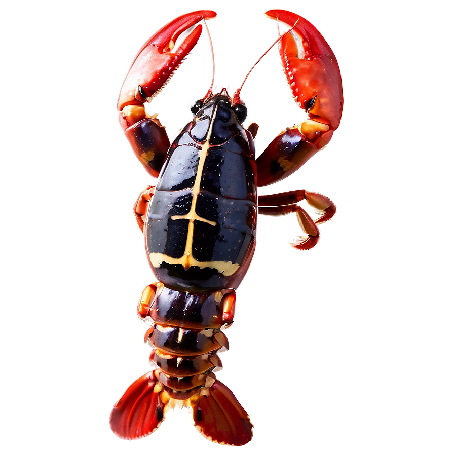 Red Lobster Seafood Png Qwa