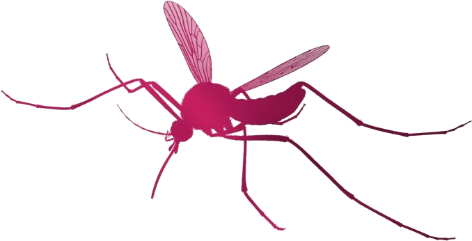 Red Mosquito Illustration