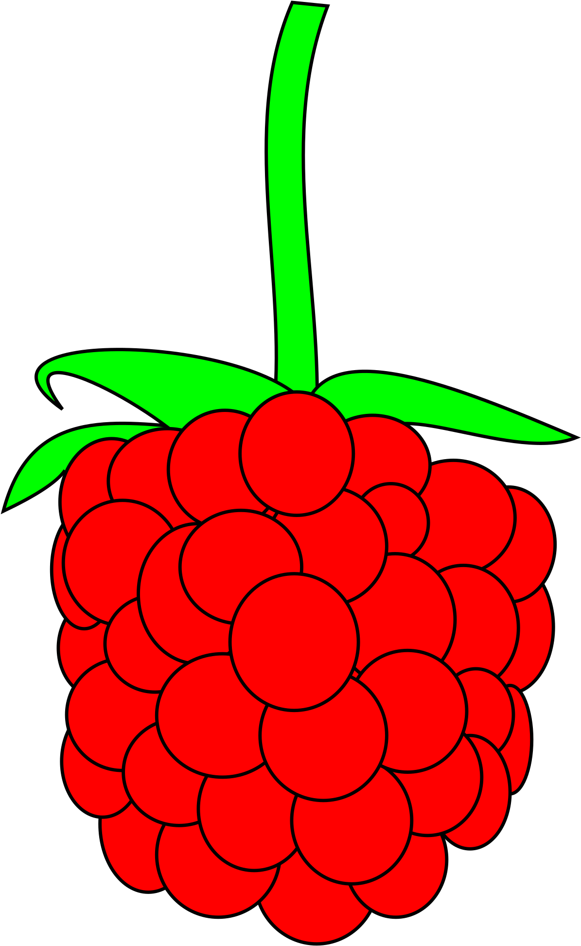 Red Raspberry Vector Illustration