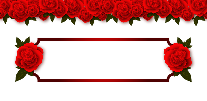 Red Rose Banner Design