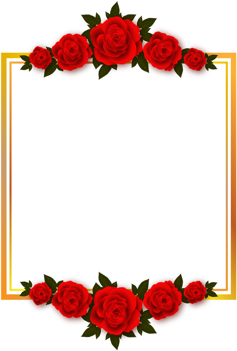 Red Rose Frame Design