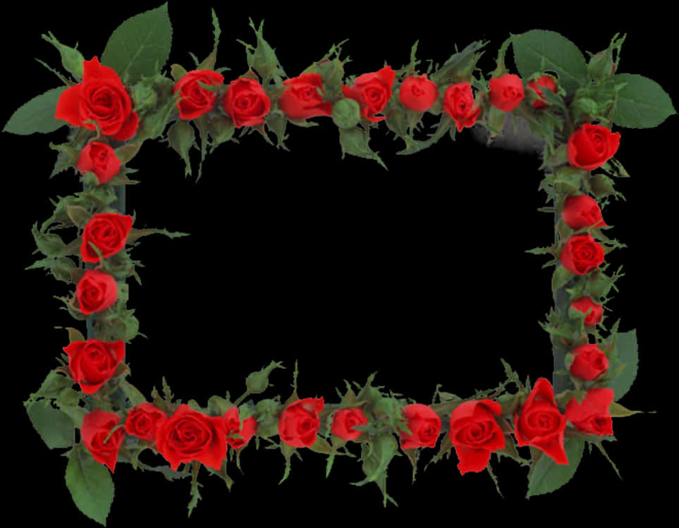 Red Rose Frameon Black Background