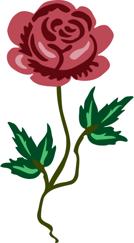 Red Rose Illustration