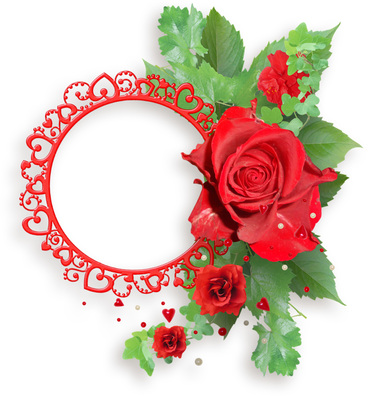 Red Rose Love Frame P N G