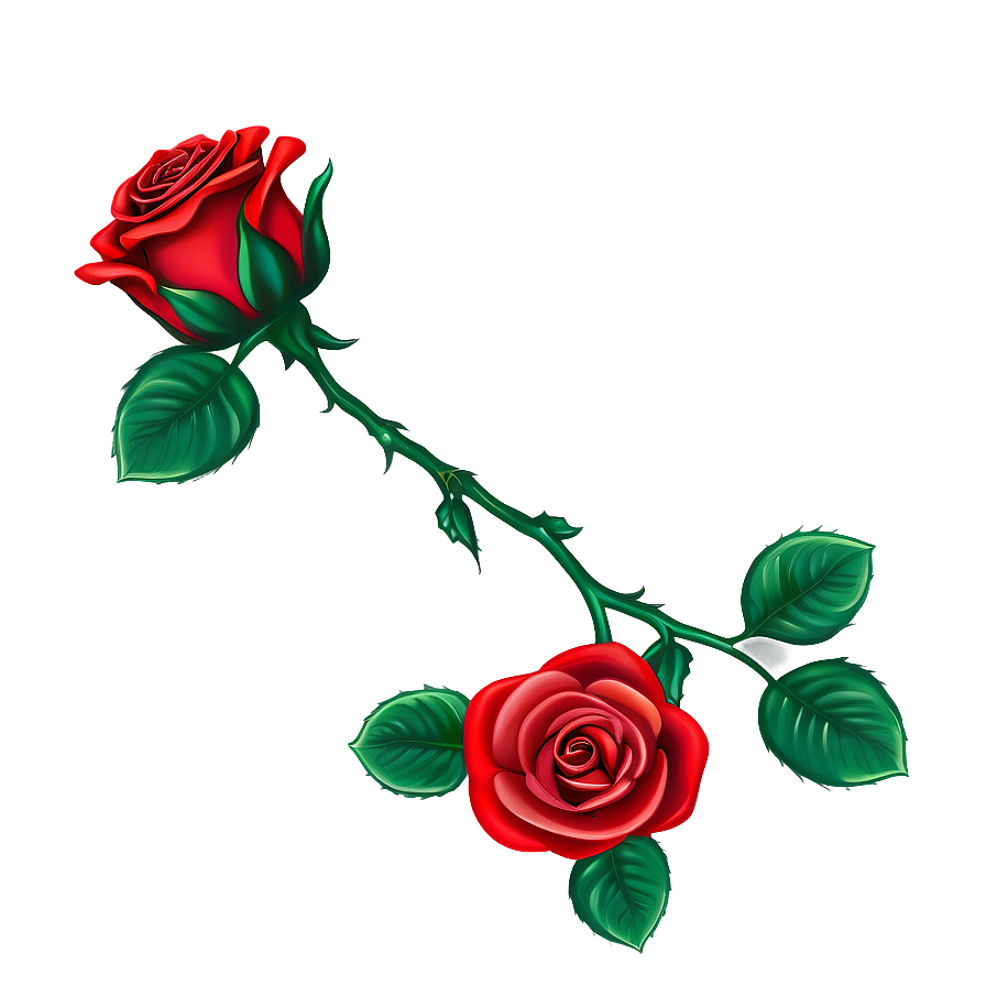 Red Rose Two Blooms Vector Illustration