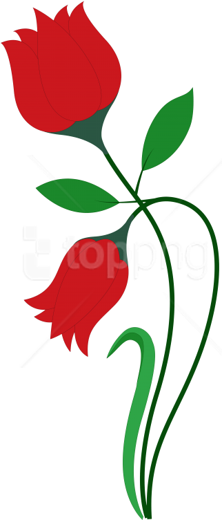 Red Rose Vector Art