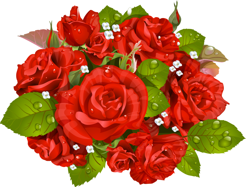 Red Rose Vector Bouquet