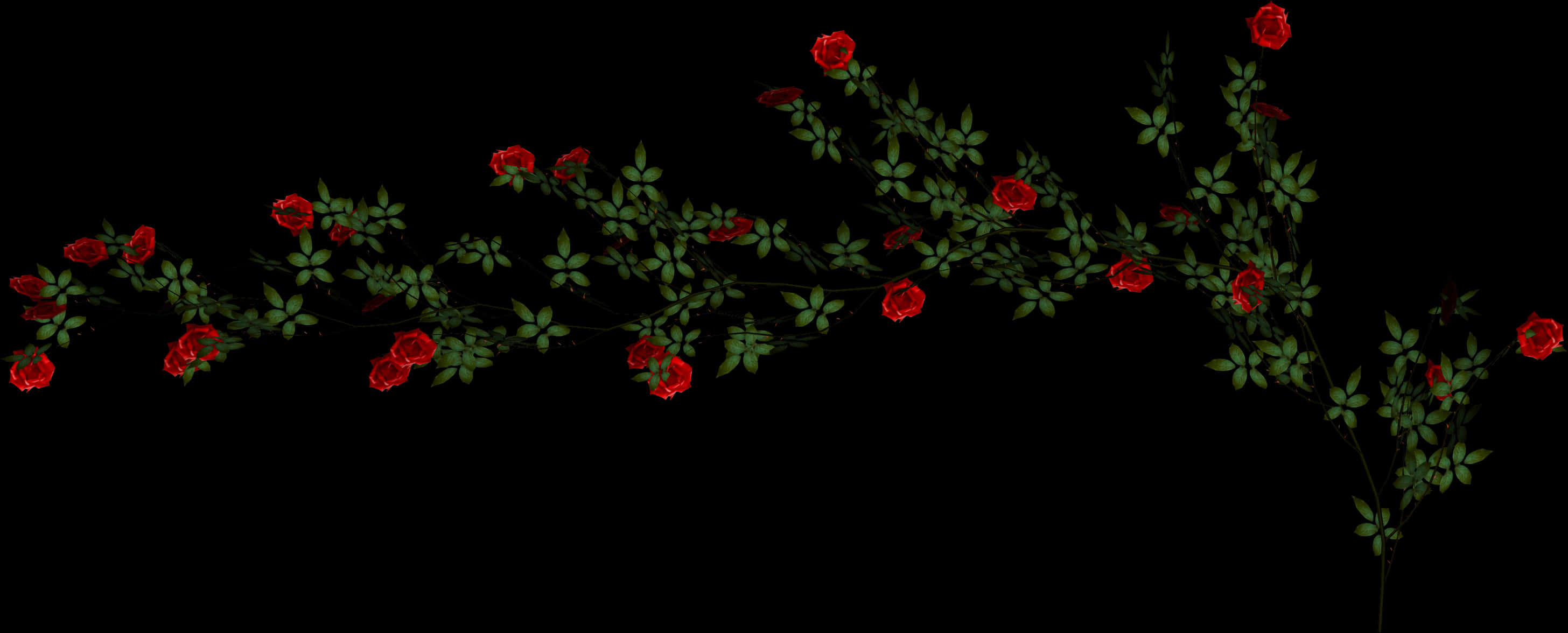 Red Rose Vine Black Background