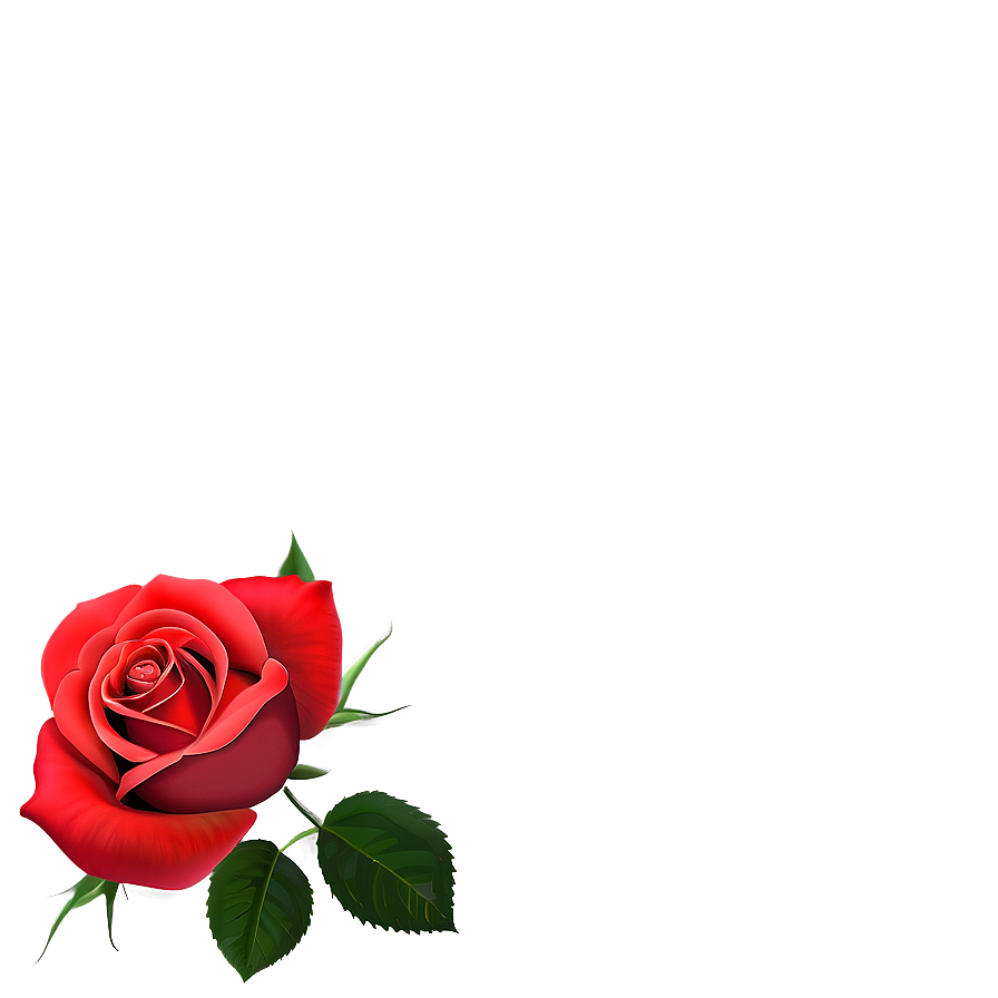 Red Rose Wallpaper Png 53