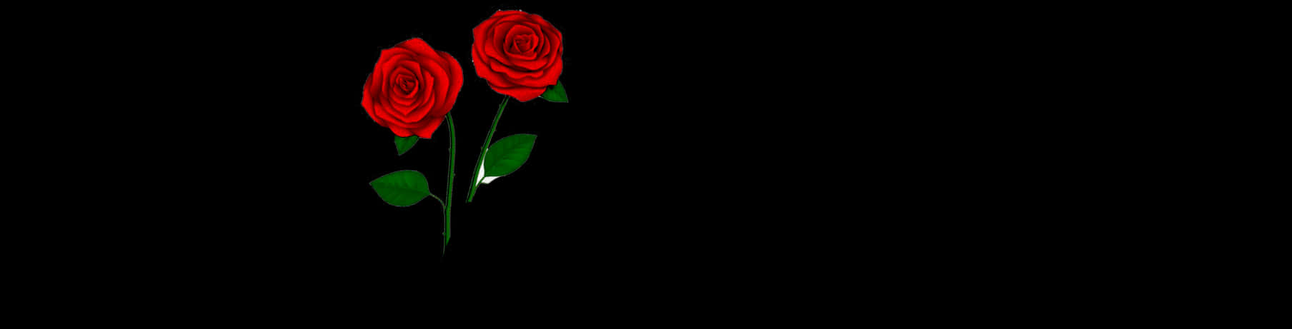 Red Roses Black Background