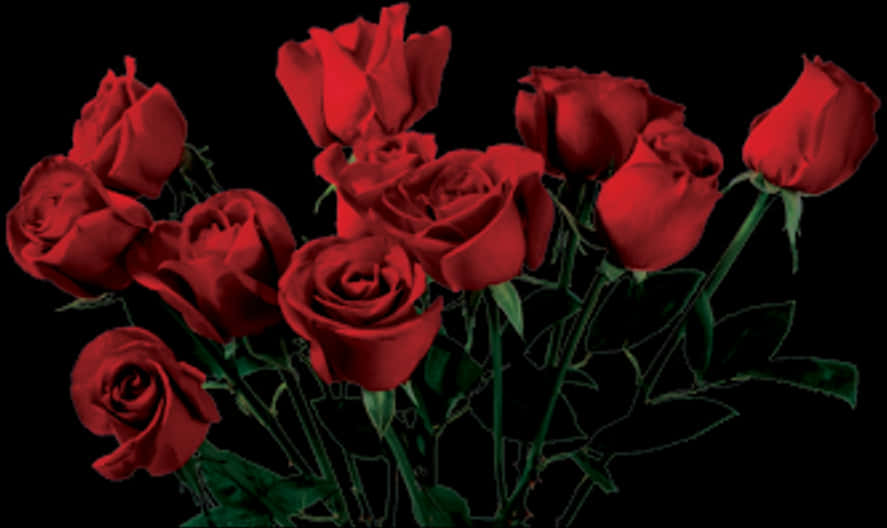 Red Roses Bouquet Dark Background