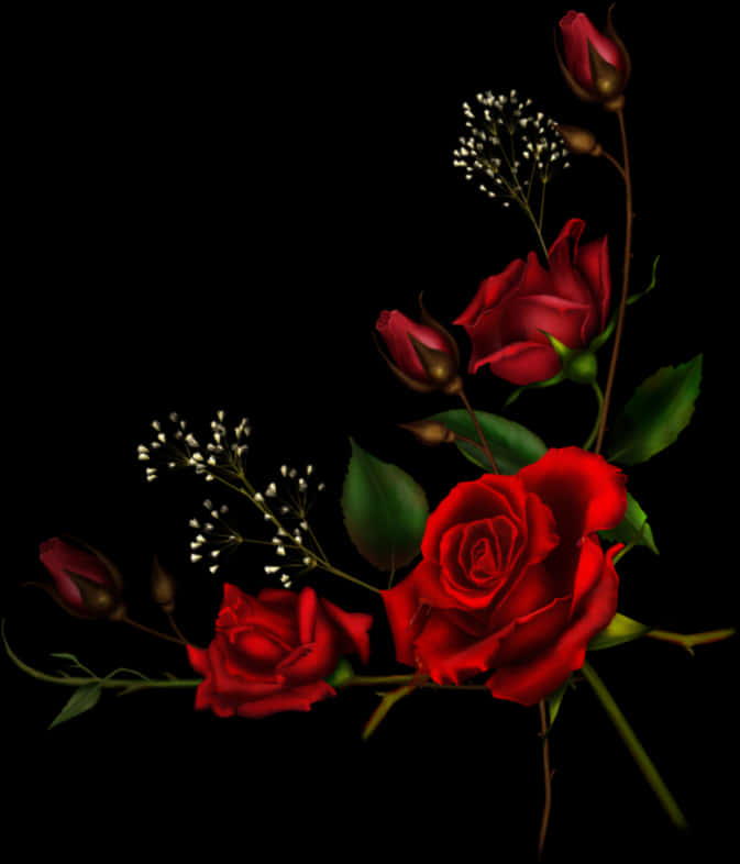 Red Roses Dark Background