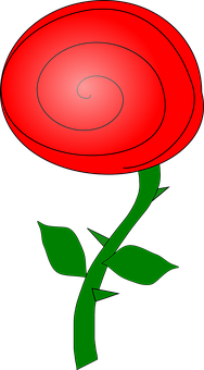 Red Spiral Rose Graphic