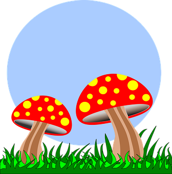 Red Spotted Mushrooms Night Illustration