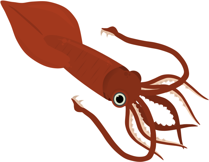 Red Squid Illustration