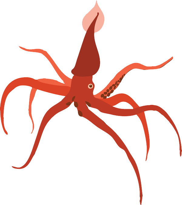 Red Squid Illustration