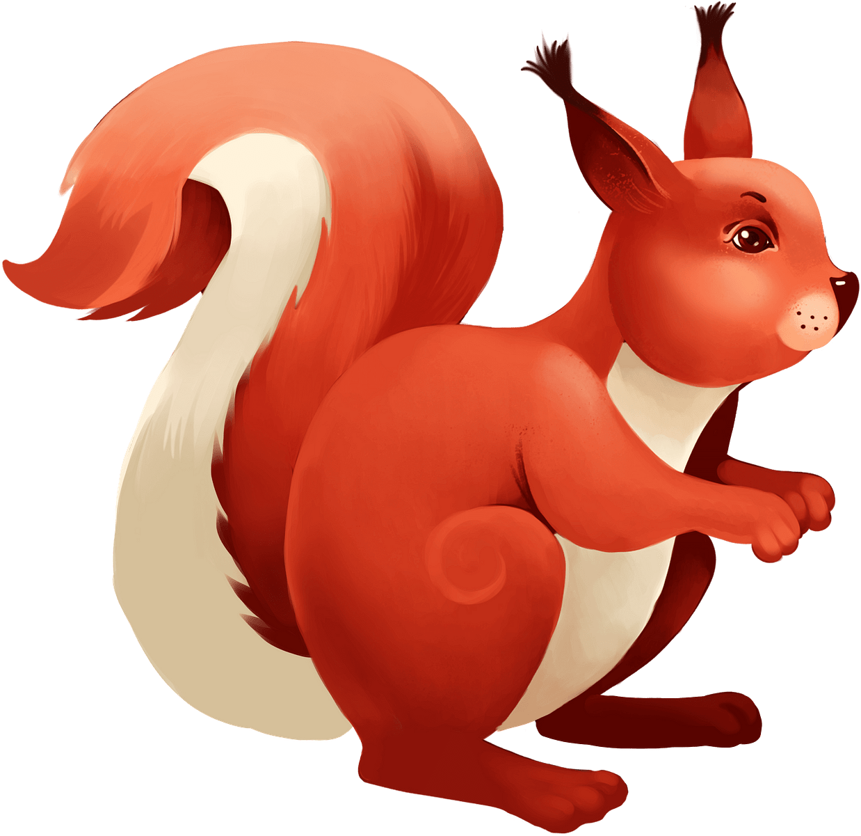 Red Squirrel Illustration