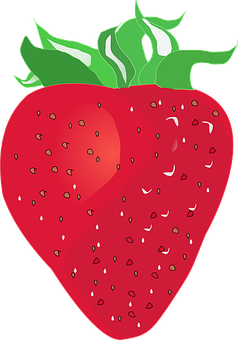 Red Strawberry Illustration