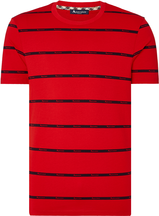 Red Striped Crewneck T Shirt