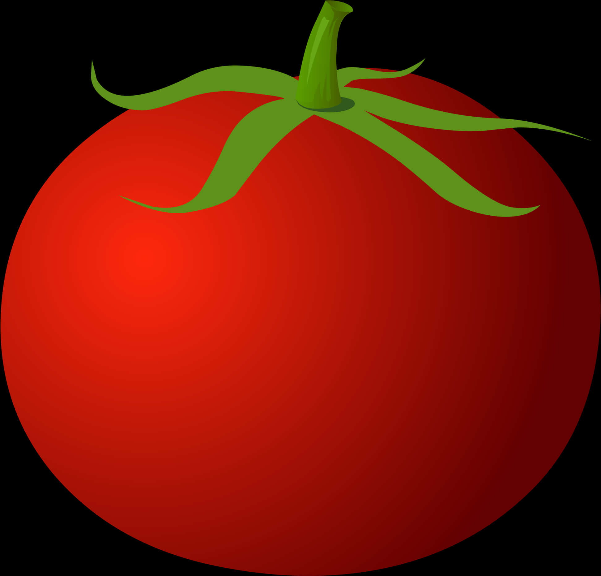 Red Tomato Illustration